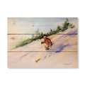 Wile E. Wood 15 x 11 in. Crousers Downhill Skier Wood Art DCDS-1511